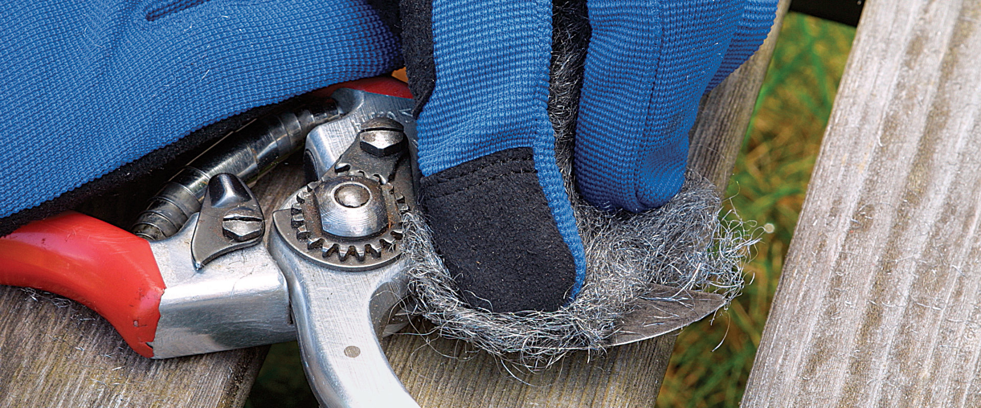 Pruning Tools: A Comprehensive Overview