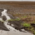 Treating Soil and Water Sources