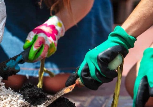 Understanding Soil Amendments: A Guide to Improve Your Bonsai Soil